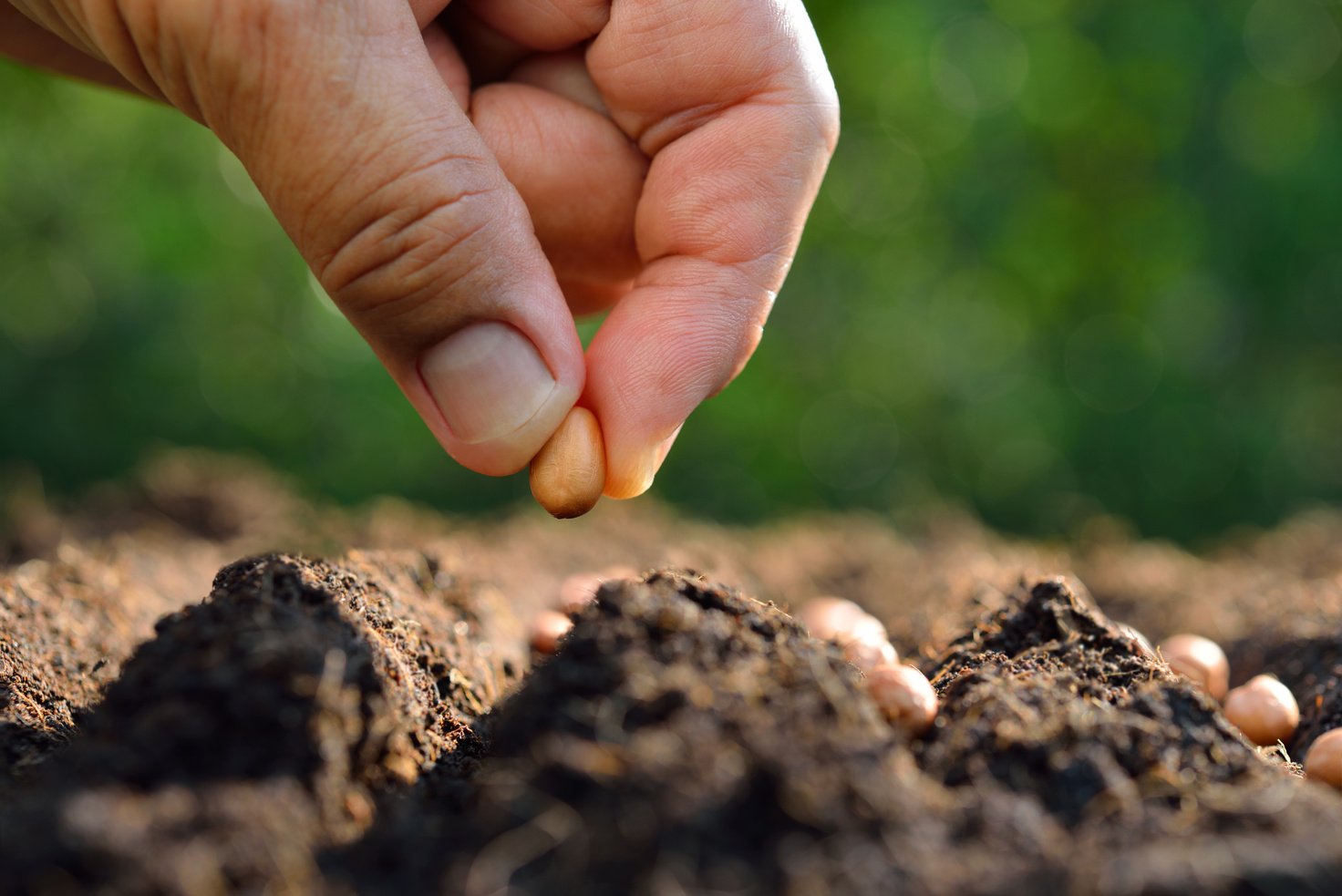 Farmer's hand planting seed in soil